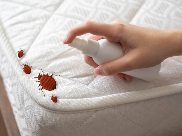 Professional Pest Control in Friendly, MD
