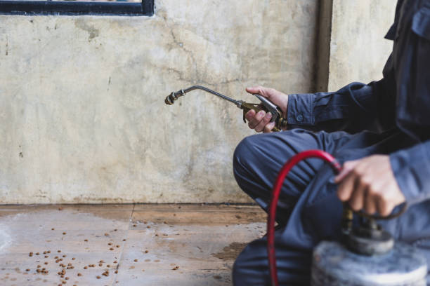 Best Best Pest Control Companies  in Friendly, MD